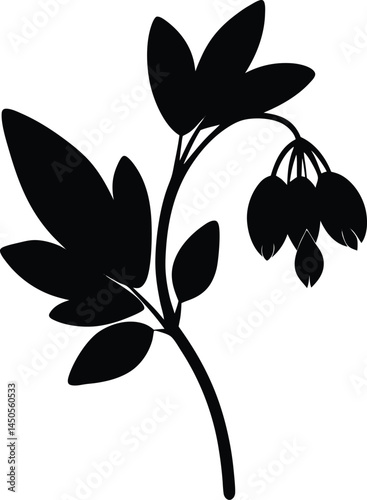 dutchman s breeches flower silhouette vector 