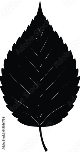 elm leaf silhouette vector on white background