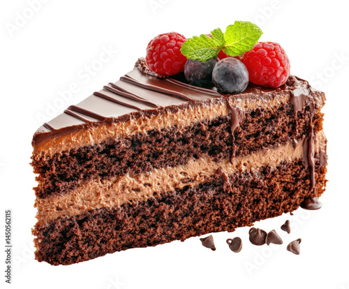 Decadent chocolate cake slice bakery food gourmet dessert isolated on transparent background