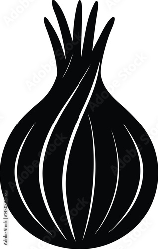 fennel bulb silhouette vector on white background  