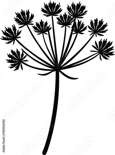 fennel frond silhouette vector on white background.eps