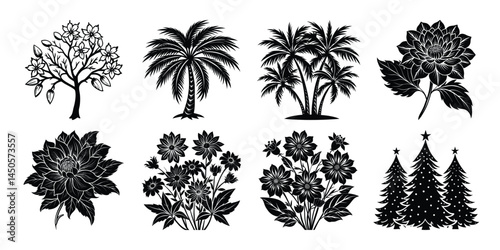 Three potted plants are arranged in a row, with one of them being a palm tree. The plants are all different sizes and shapes, but they all have a similar color scheme of green and brown