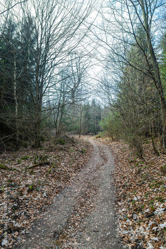 Trail to the Hermannsdenkmal in Germany