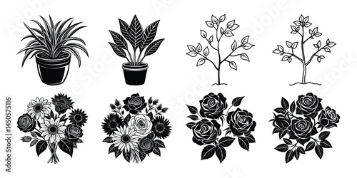 Three potted plants are arranged in a row, with one of them being a palm tree. The plants are all different sizes and shapes, but they all have a similar color scheme of green and brown
