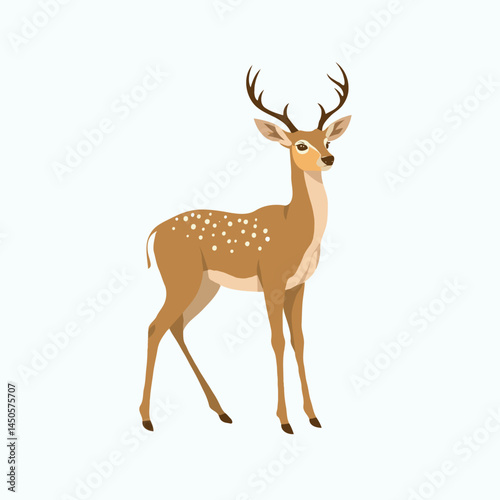 deer vector illustration on white