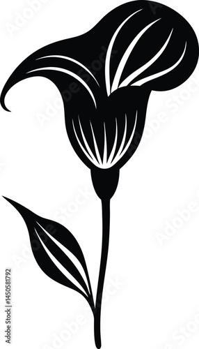 jack in the pulpit flower silhouette vector 