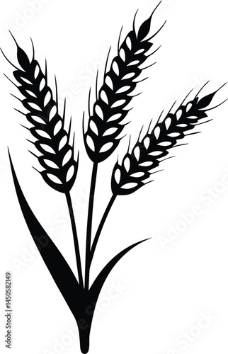 Wheat ears icon vector, agriculture wheat vector icon