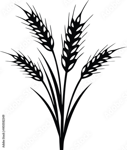 Wheat ears icon vector, agriculture wheat vector icon