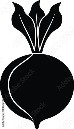 kohlrabi bulb silhouette vector on white 
