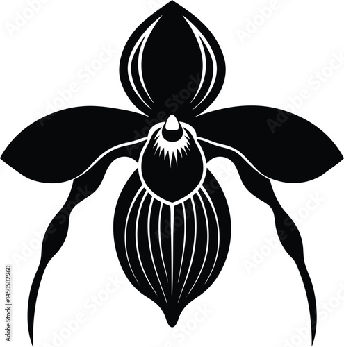 lady s slipper orchid silhouette vector on white 