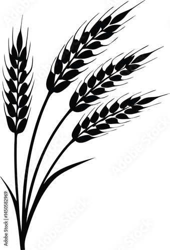 Wheat ears icon vector, agriculture wheat vector icon