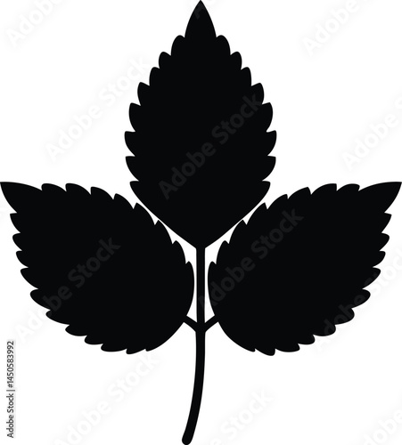 lemon balm leaf silhouette vector on white 