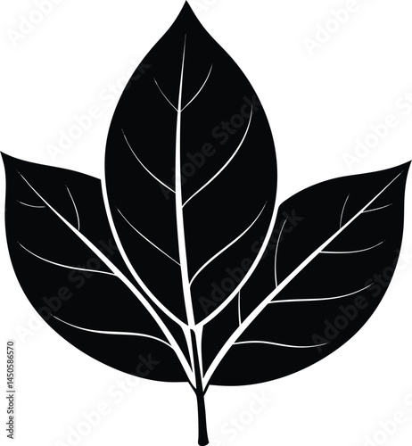 magnolia leaf silhouette vector on white 
