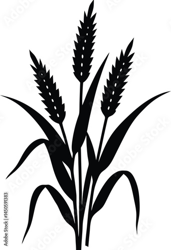 millet stalk silhouette vector on white background.eps
