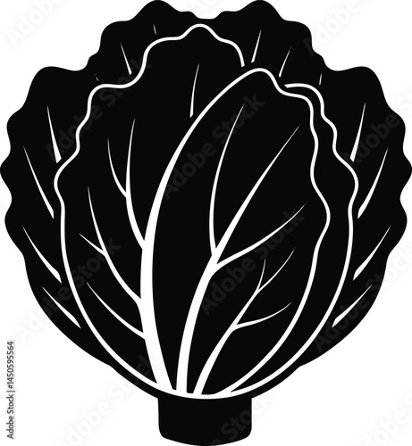 napa cabbage silhouette vector on white background.eps