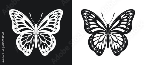 Butterfly Vector Illustration Black And White Design With Delicate Wings Pattern