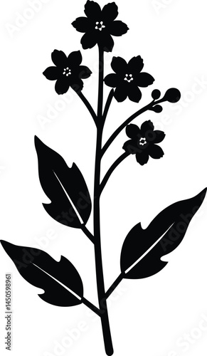 narrowleaf vervain flower silhouette vector 