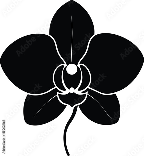 orchid flower silhouette vector on white 
