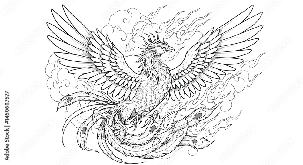 Fototapeta premium Majestic Phoenix Wing and Tail Feathers in Clouds, Line Art
