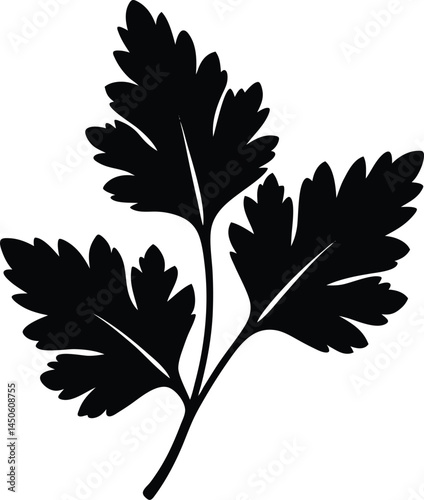 parsley leaf silhouette vector on white background.eps