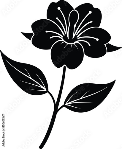 partridge pea flower silhouette vector on white 