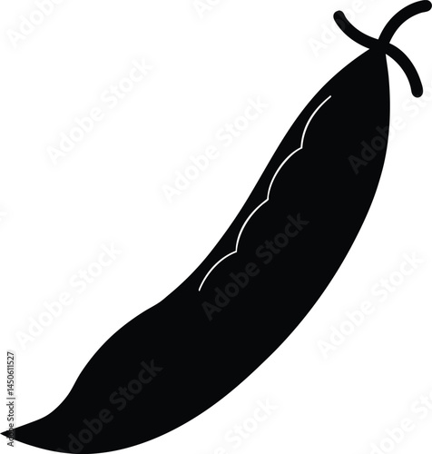 pigeon pea pod silhouette vector on white 