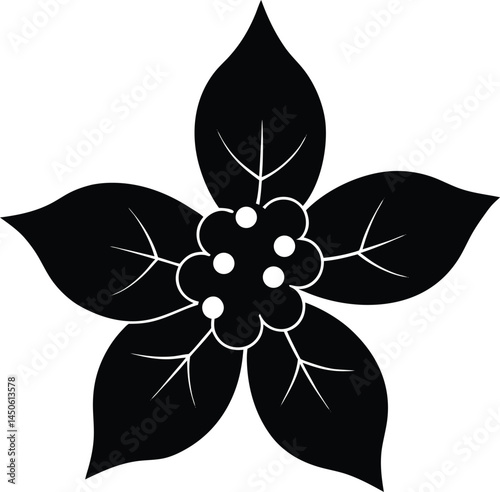 pokeberry flower silhouette vector on white 