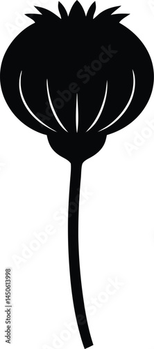 poppy seed pod silhouette vector on white 