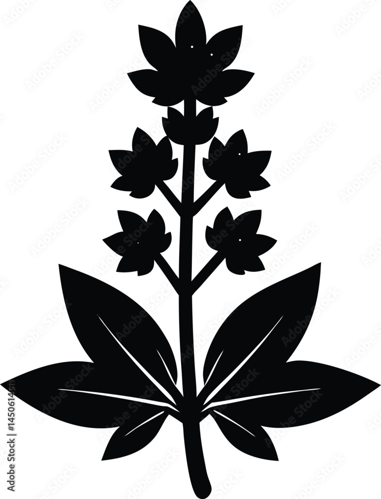 Fototapeta premium prairie alumroot flower silhouette vector on white 