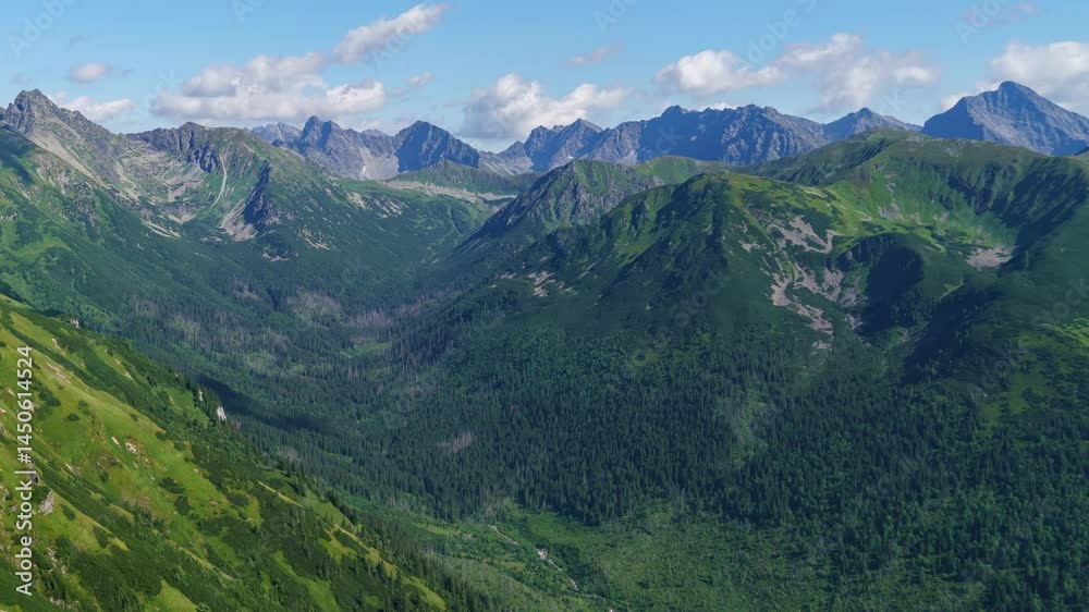 Timelapse of Verdant Tatra Valley and Partly Cloudy Skies in Summer Timelapse of Verdant Tatra Valley and Partly Cloudy Skies in Summer