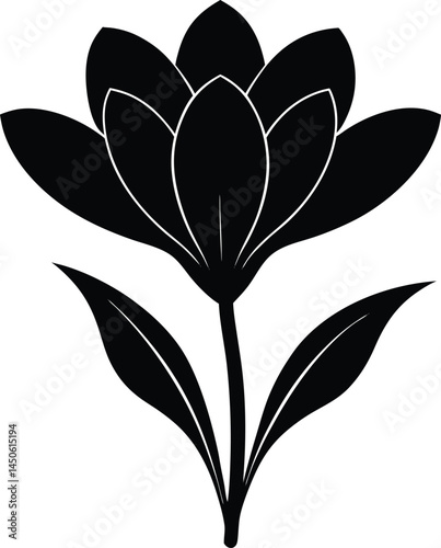 prairie crocus flower silhouette vector on white 