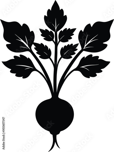 prairie turnip plant silhouette vector on white