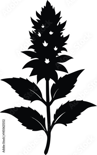 purple giant hyssop flower silhouette vector 