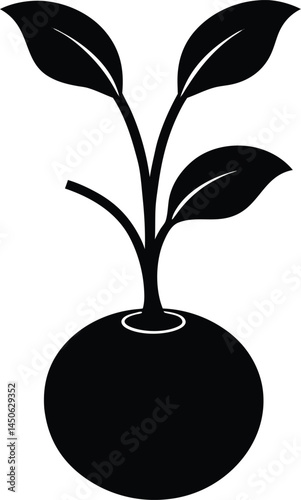 radish sprout silhouette vector on white 