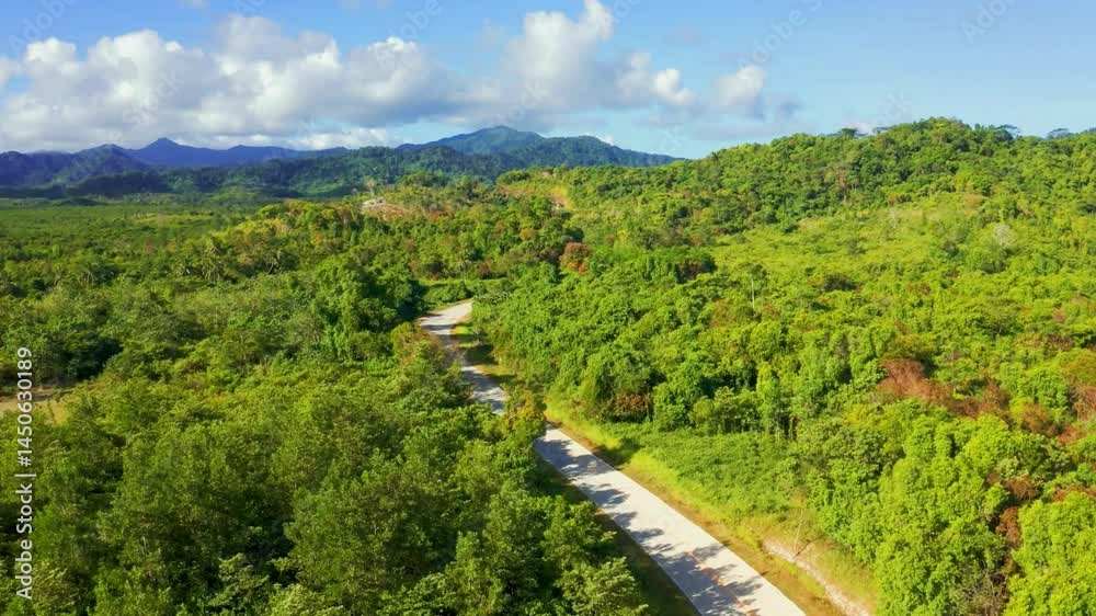 Aerial View of Winding Road Through Lush Green Tropical Foliage and Mountains Aerial View of Winding Road Through Lush Green Tropical Foliage and Mountains