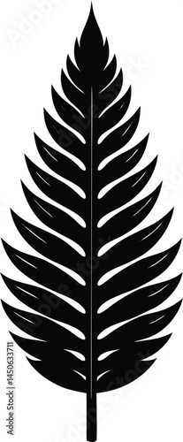 redwood leaf silhouette vector on white background 