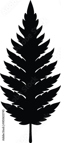 redwood leaf silhouette vector on white background.eps