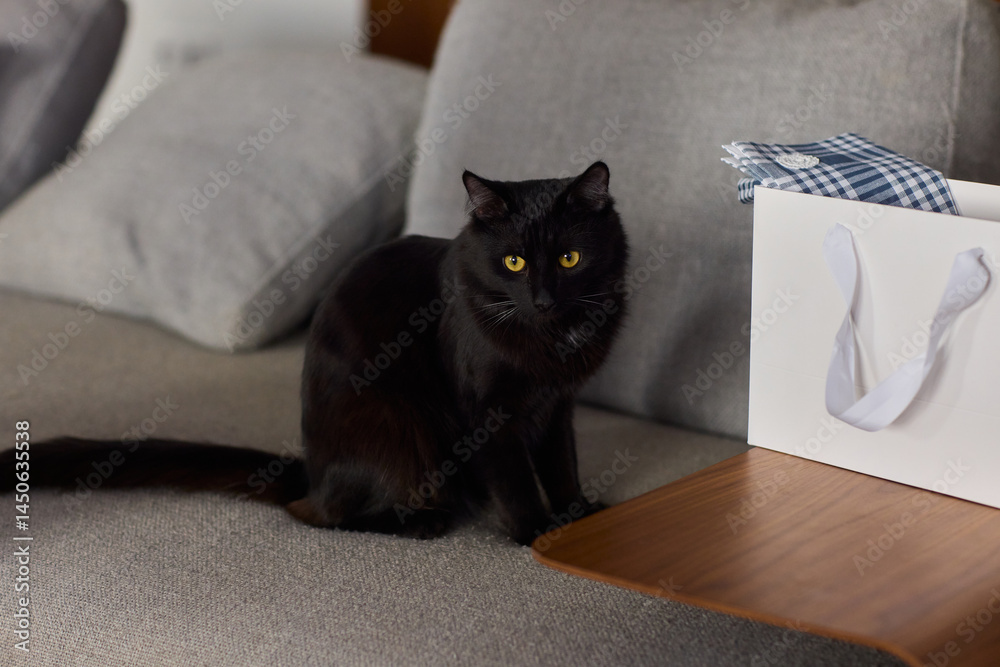 A curious and adorable black cat is exploring a cozy gift bag filled with surprises