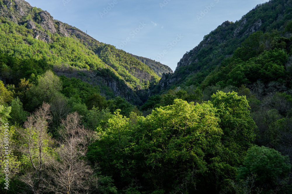 Fototapeta premium Mao river canyon, Ribeira Sacra, Parada de Sil, Ourense province, Galicia, Spain