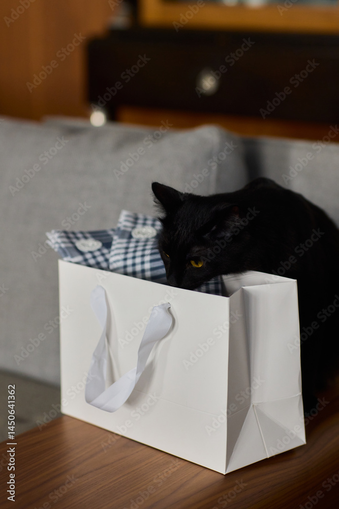A curious and adorable black cat is exploring a cozy gift bag filled with surprises