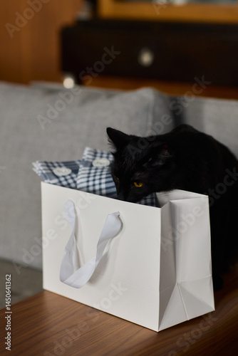 Obraz na płótnie A curious and adorable black cat is exploring a cozy gift bag filled with surprises w salonie