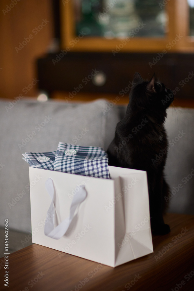 A curious and adorable black cat is exploring a cozy gift bag filled with surprises