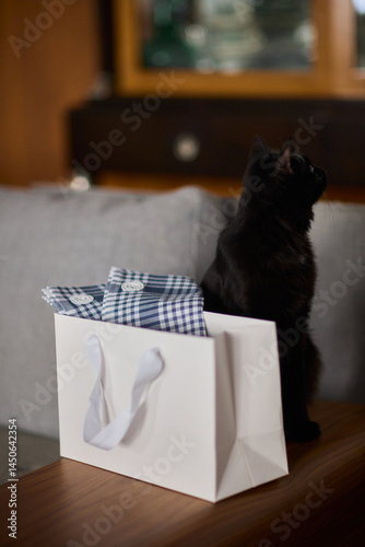 Obraz na płótnie A curious and adorable black cat is exploring a cozy gift bag filled with surprises w salonie