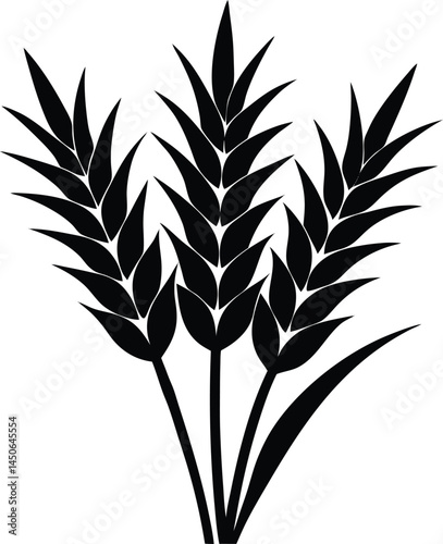 rye spike silhouette vector on white background