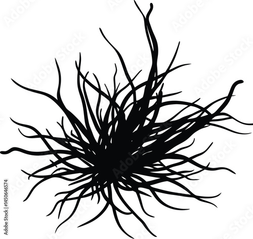 saffron threads silhouette vector on white 