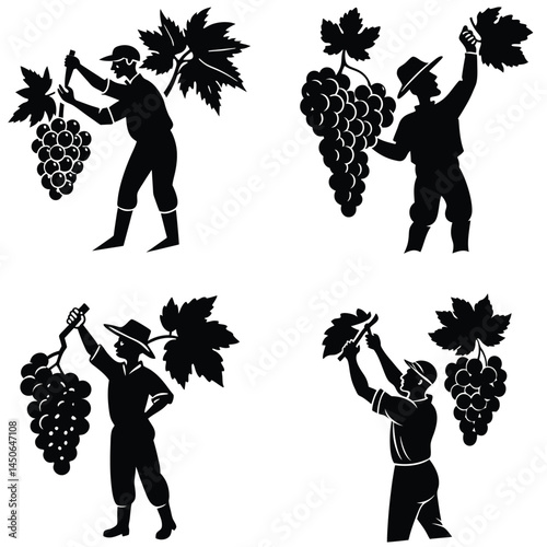 Grape Harvest Silhouettes Vineyard Workers Picking Grapes Agriculture Black And White Illustration