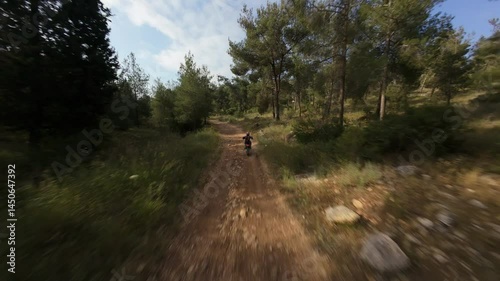 FPV drone flight in summer forest. A motorcyclist rides along a forest road. Central District, Israel