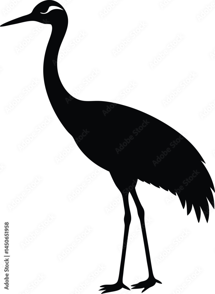 Fototapeta premium sandhill crane silhouette vector on white 