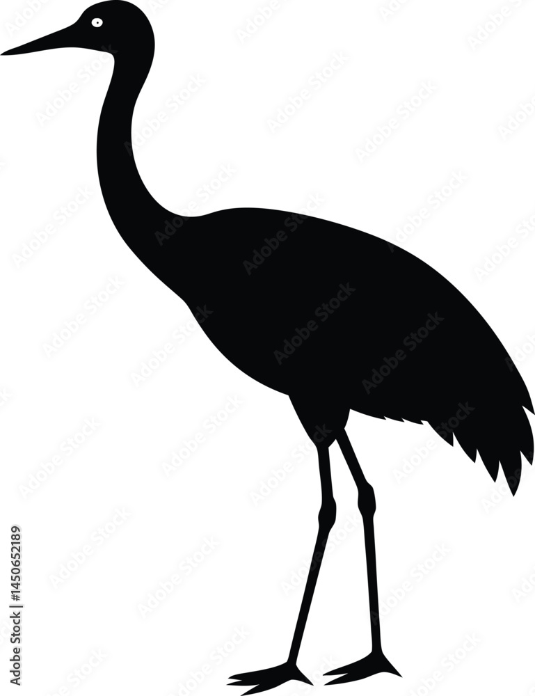 Obraz premium sandhill crane silhouette vector on white 