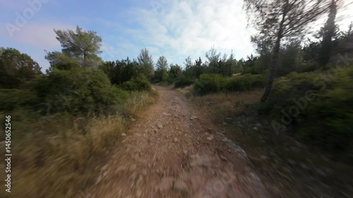 FPV drone flight in summer forest. Central District, Israel